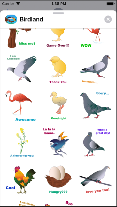 Screenshot #2 pour Friendly Birds