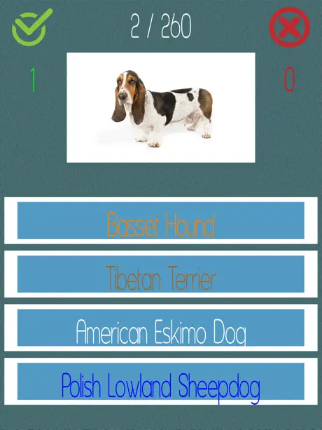 Dog Quiz  (250+ Breeds)