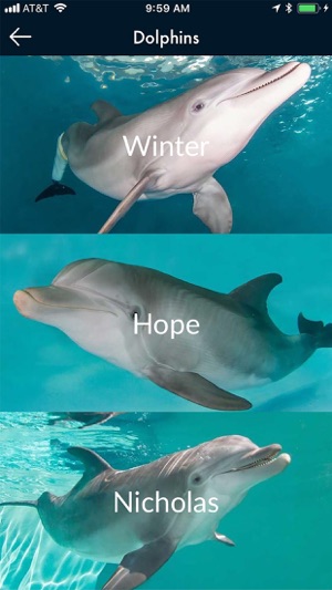 Clearwater Marine Aquarium(圖2)-速報App