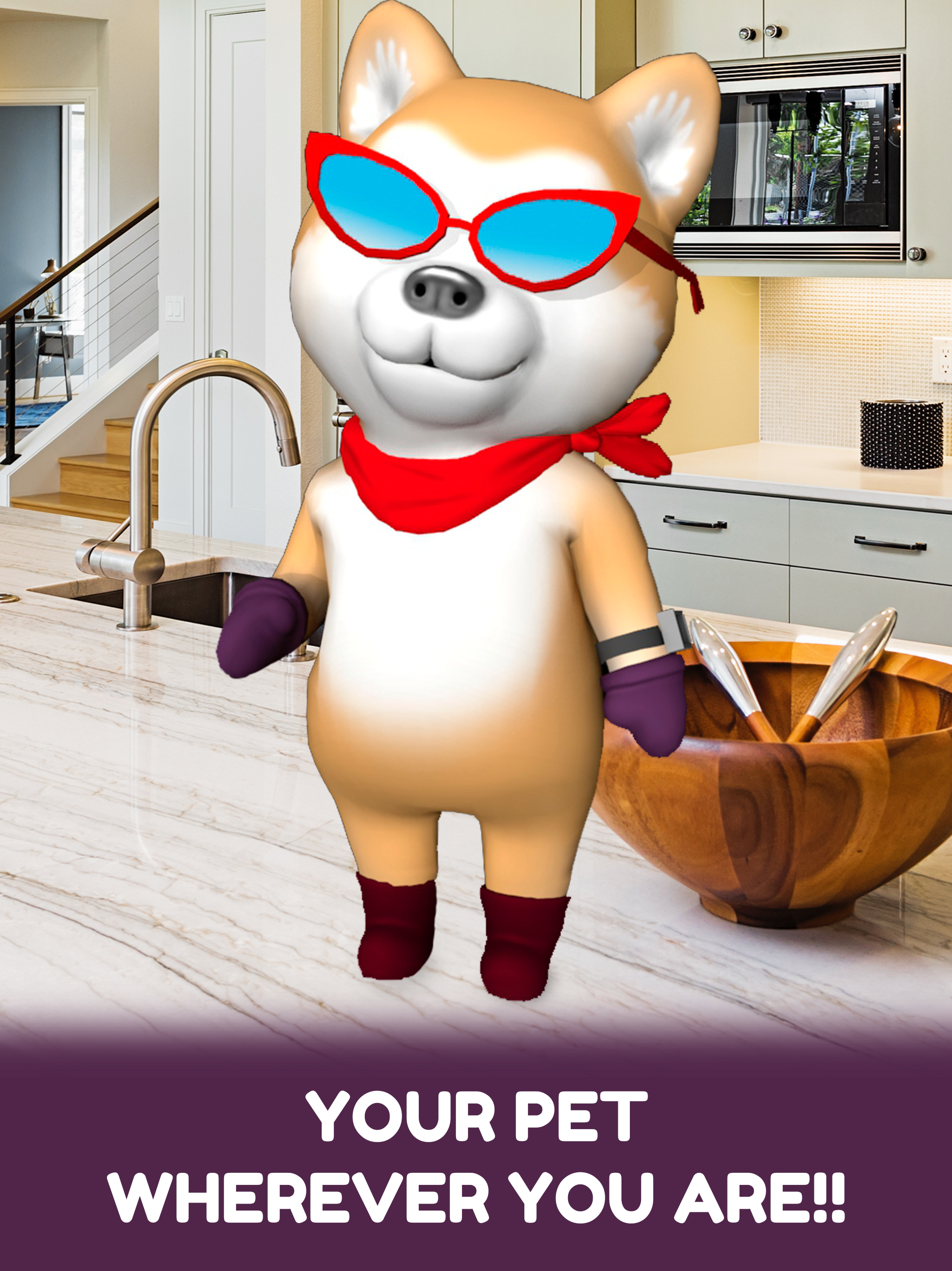 Pet Journey AR