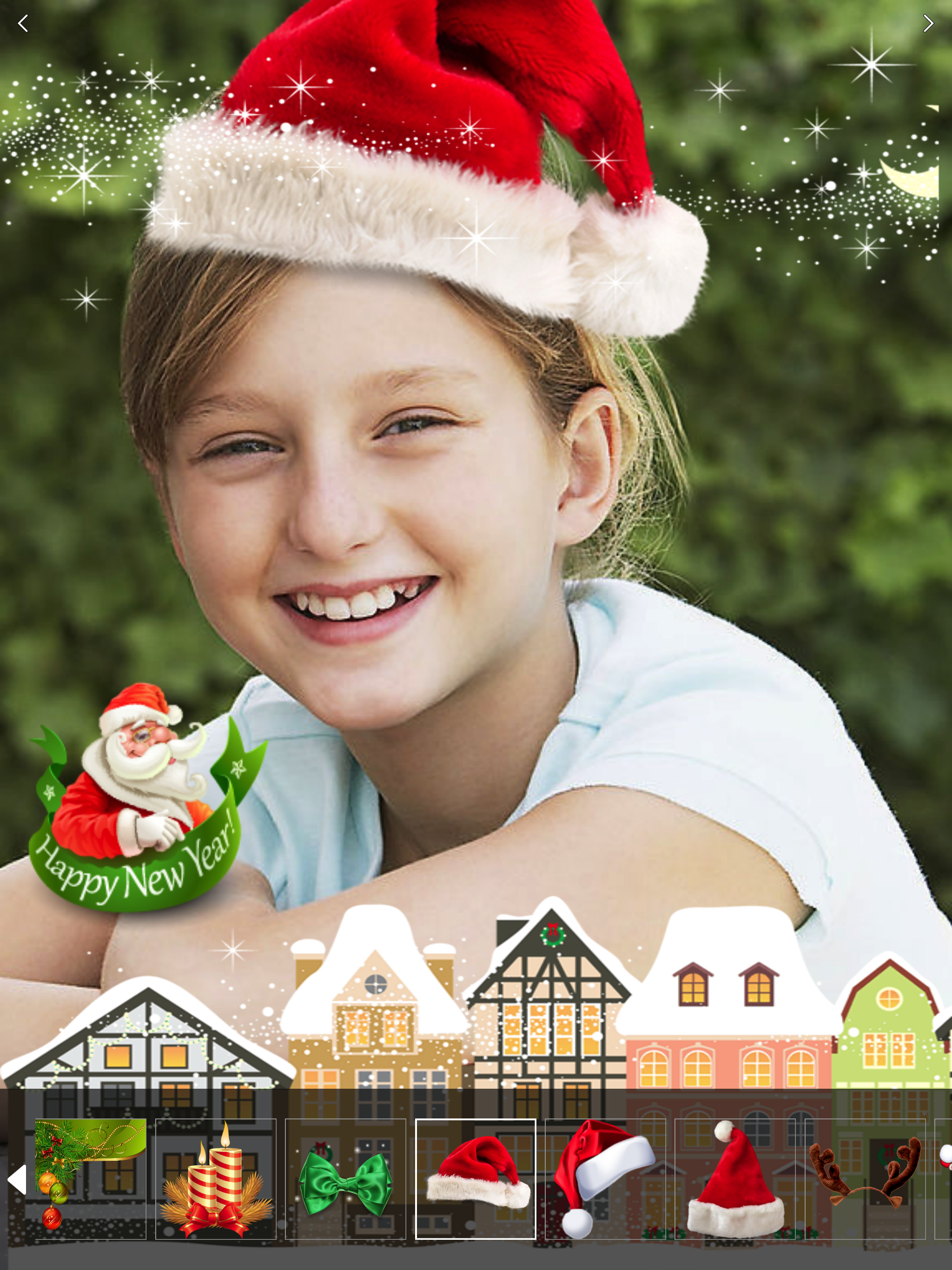 Christmas Sticker & Santa Hat