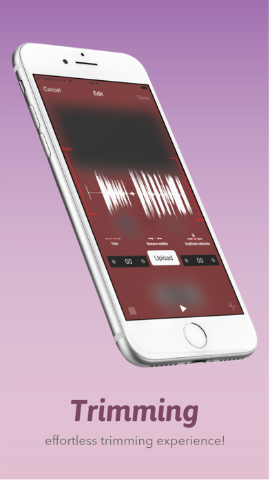 JBS Voice Recorder Plus screenshot 4