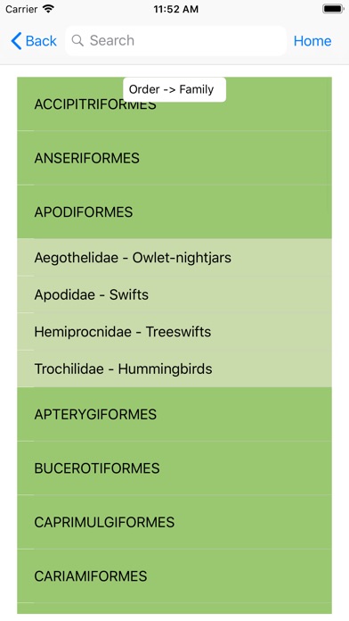 Bird Data Database Browser screenshot 4