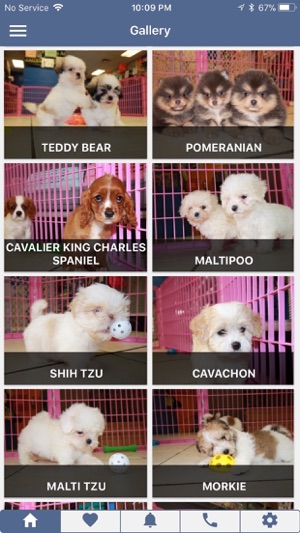 Puppy Notify(圖1)-速報App