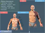Easy Acupuncture 3D -FULL ipad bilder 2