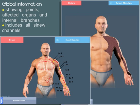 Screenshot #6 pour Easy Acupuncture 3D -FULL