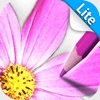 Sketch Agent Lite - iPhoneアプリ