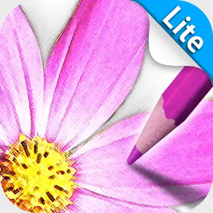 Sketch Agent Lite Читы