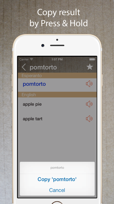 Esperanto English Dictionary Screenshot