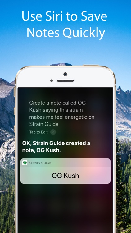 Cannabis Strain Guide