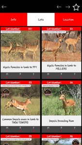 African Game Auctioneers screenshot #3 for iPhone