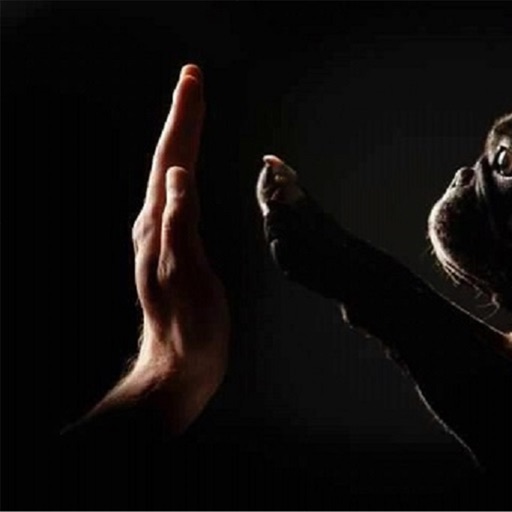 French Bully Fan Page