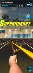 Screenshot of Slingshot Championship