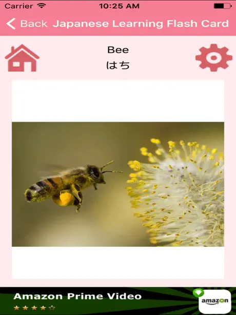 Japanese Learning Flash Card