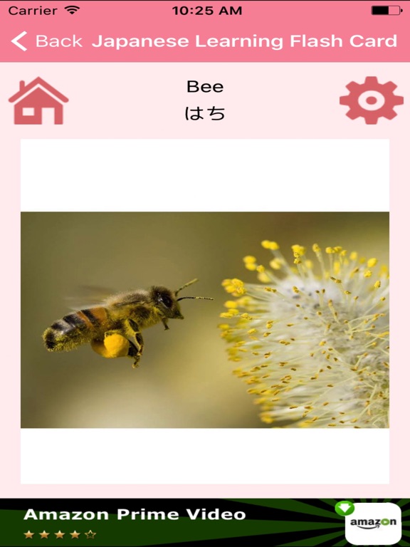Japanese Learning Flash Card iPad screenshot