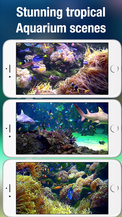 Aquarium Live HD +