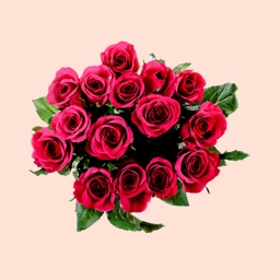 Radiant Flower Stickers