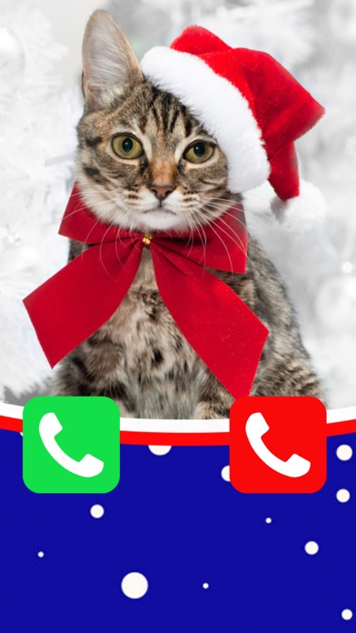 Cat Santa Claus Calling You screenshot 3