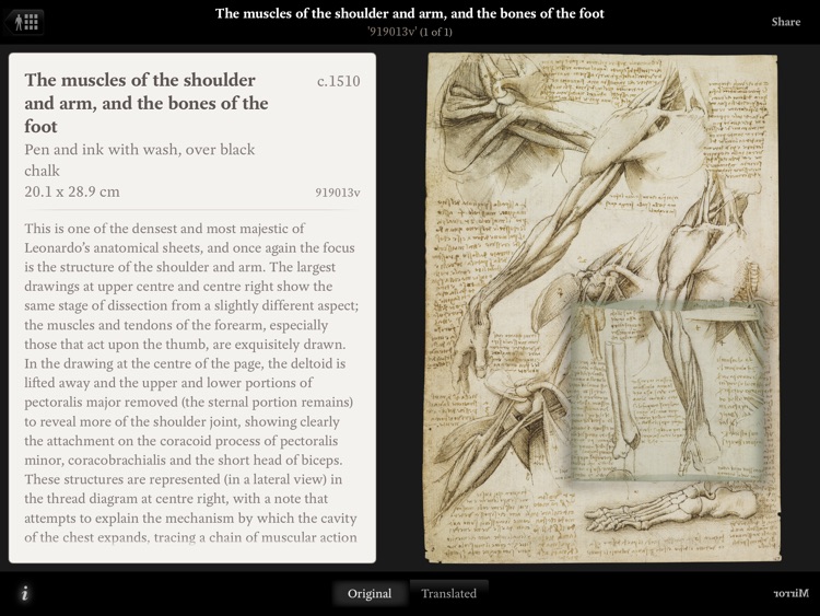 Leonardo da Vinci: Anatomy