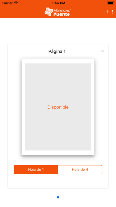 Screenshot #3 pour Etiquetas Puente