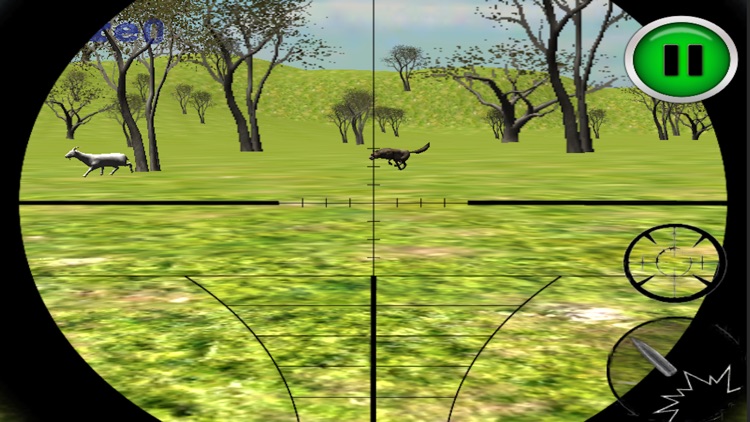 Angry Wolf Attack Sim