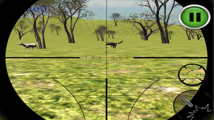 Angry Wolf Attack Sim