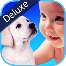 ZOOLA Animaux Deluxe