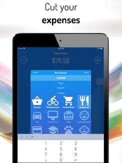 Piggy Bank: Easy Budgeting iPad image 2