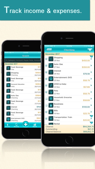 check balancing software