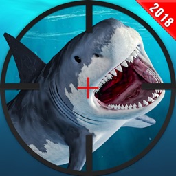 requin chasseur scuba plongée