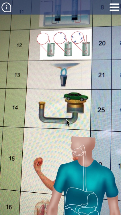 الصف الثاني المتوسط