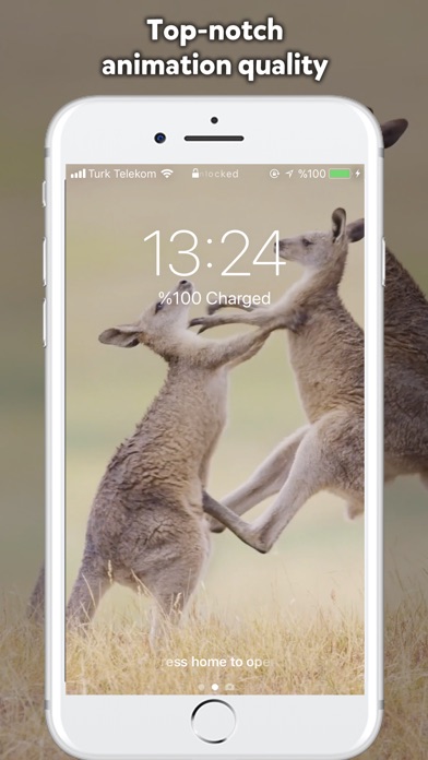 Live Wallpaper Plus screenshot 2