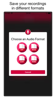 voice & audio recorder pro iphone screenshot 3
