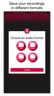 voice & audio recorder pro айфон картинки 3