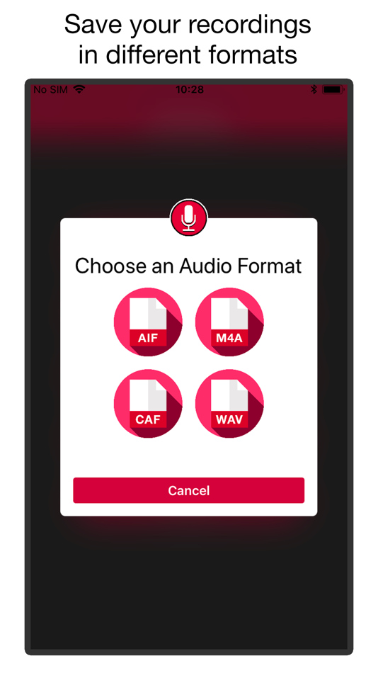 #3. Voice & Audio Recorder PRO (iOS) 由: KISSAPP, S.L.