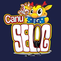 Hoff Ganeuon Selog sur PC