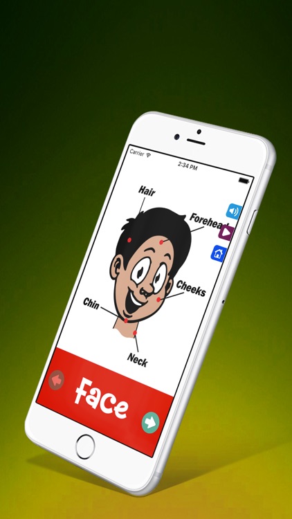 Learning Human Body Parts