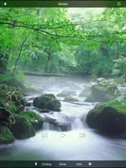 white noise recorder iPad Captures Décran 2
