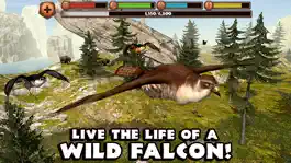 Game screenshot Falcon Simulator mod apk