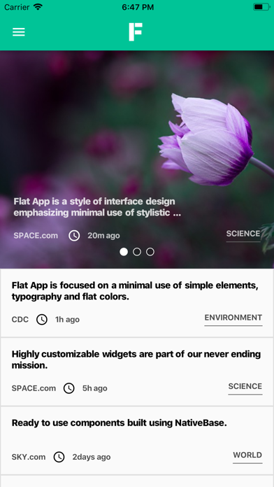 Screenshot #2 pour Flutter Flat App