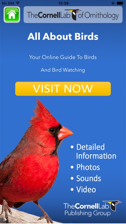 Bird QR screenshot-3