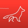 Dingo App