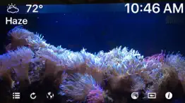 aquarium 4k - ultra hd video iphone screenshot 2
