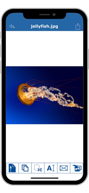 FileXChange - file manager(圖3)-速報App