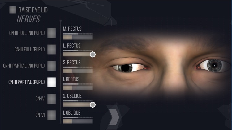 EyeSim