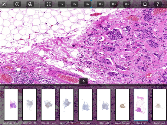 Screenshot #4 pour 3DHISTECH PANNORAMIC VIEWER