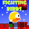 Fighting Birds