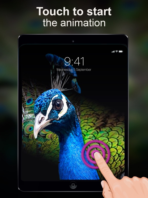 Screenshot #5 pour Live Wallpapers Unlimited