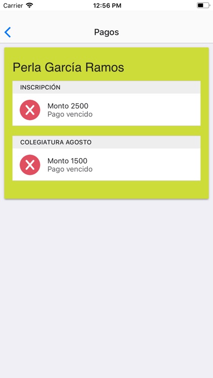 Instituto Alborada screenshot-4