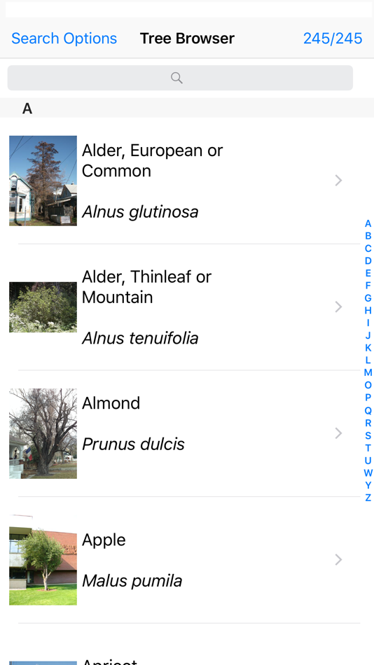 Tree Browser - 2.30 - (iOS)